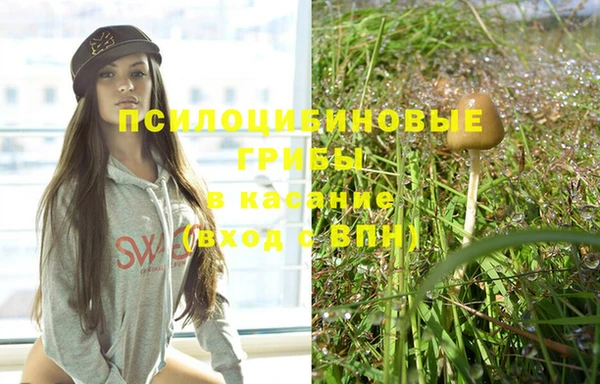 прущая мука Ладушкин